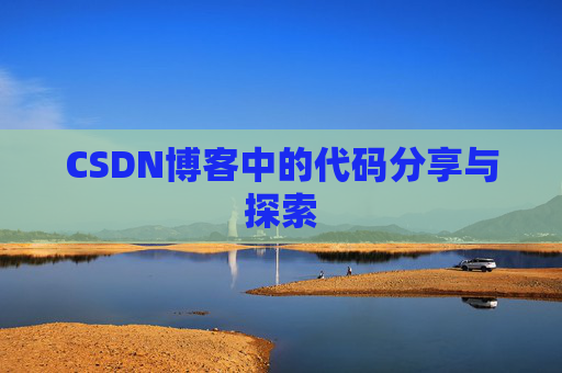 CSDN博客中的代码分享与探索